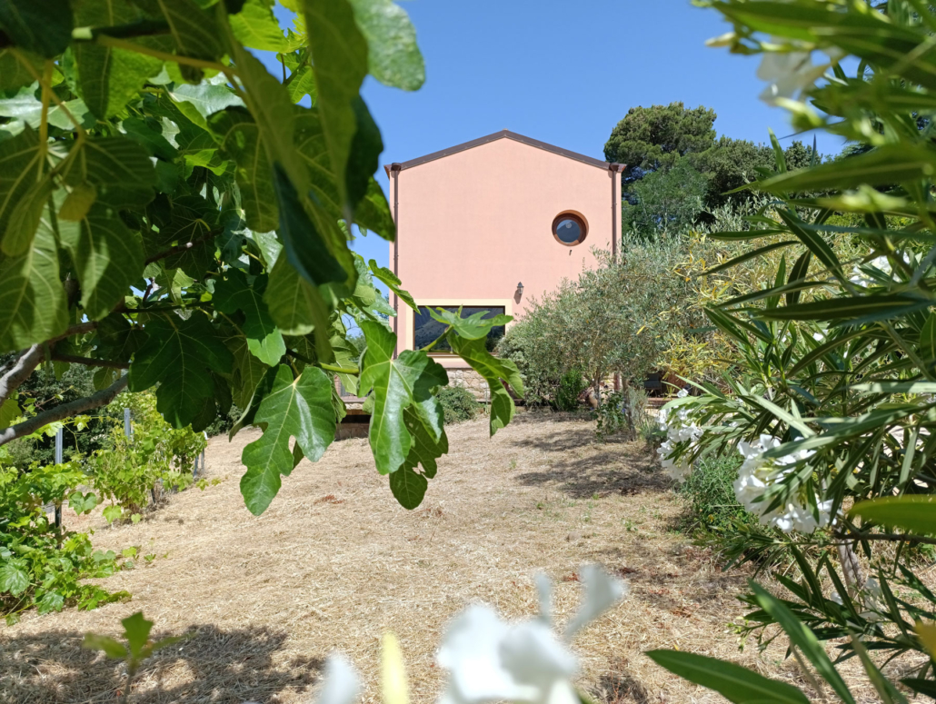 fuori-2