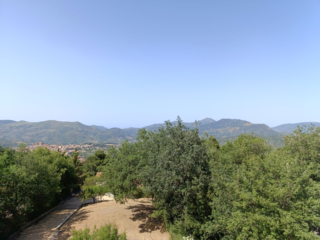 panorama-1